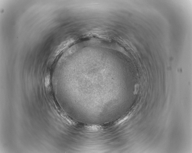 X0000088220432200705151418