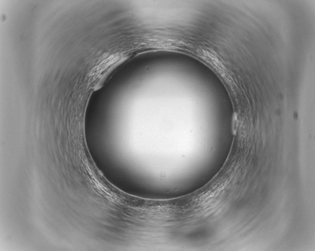 X0000088220433200705151417