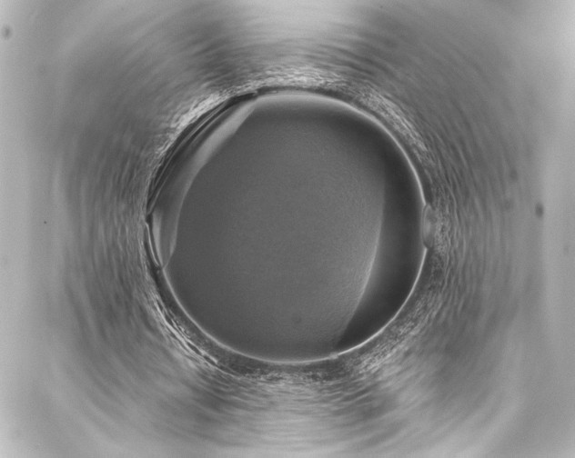 X0000088220434200705151417