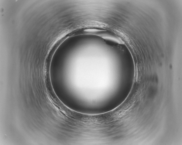 X0000088220435200705151417