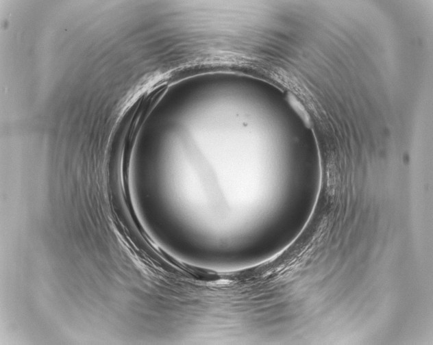 X0000088220436200705151417