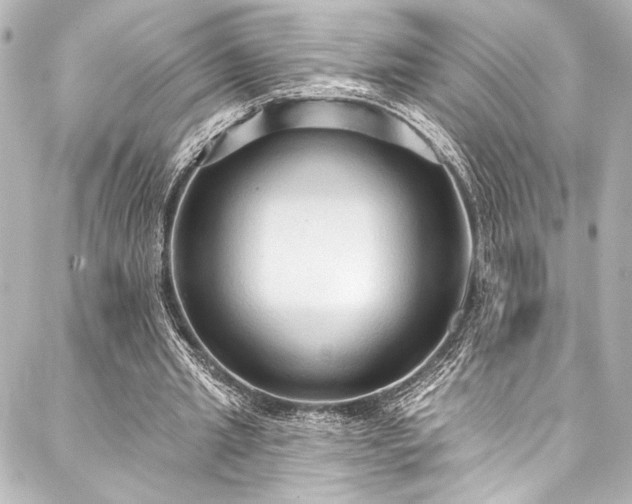 X0000088220437200705151417