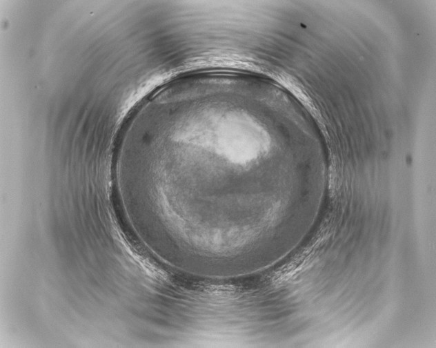 X0000088220438200705151417