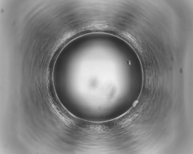 X0000088220439200705151417