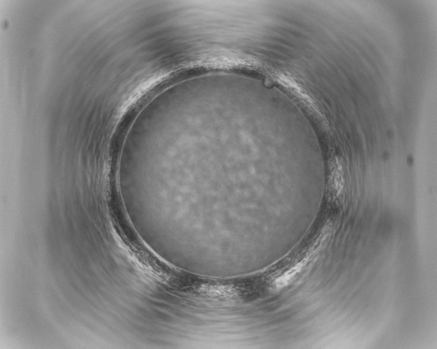 X0000088220440200705151417