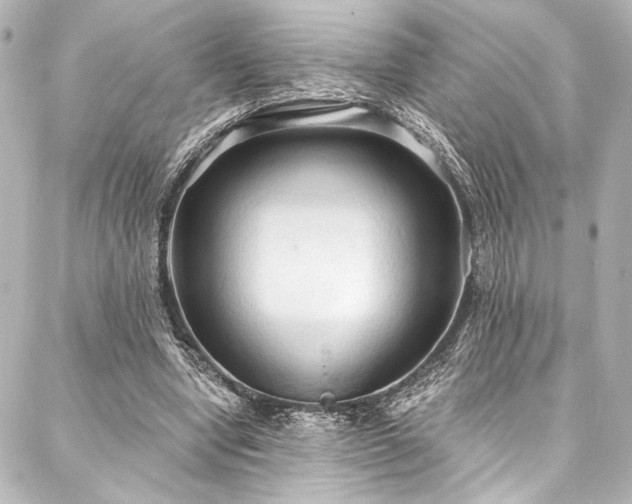 X0000088220442200705151417