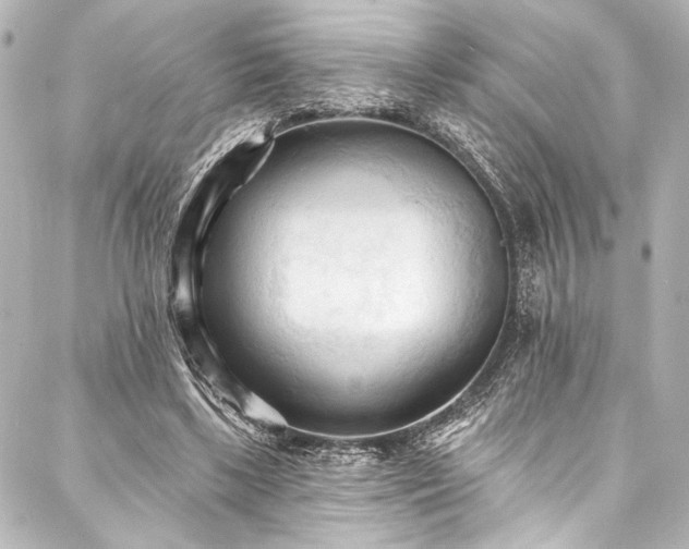 X0000088220443200705151417