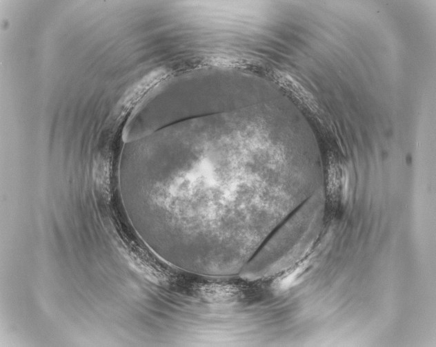 X0000088220444200705151417