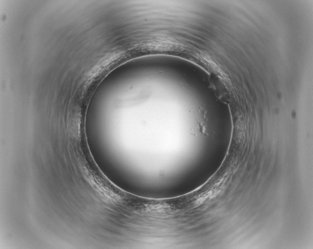 X0000088220446200705151417