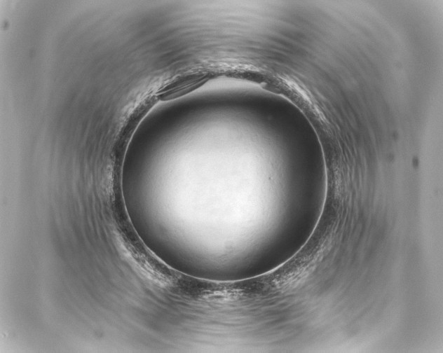 X0000088220447200705151417