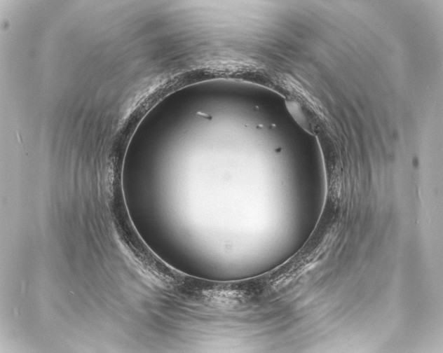 X0000088220448200705151417