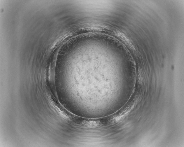 X0000088220449200705151417