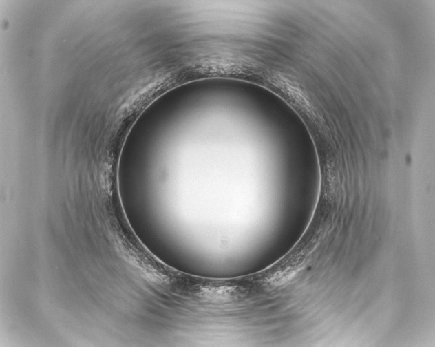 X0000088220450200705151417