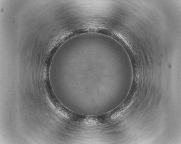 X0000088220451200705151417