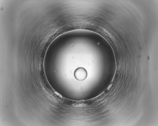 X0000088220452200705151417