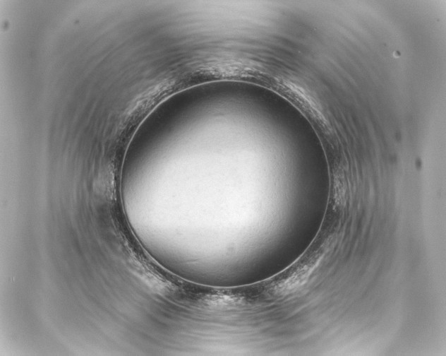 X0000088220453200705151417