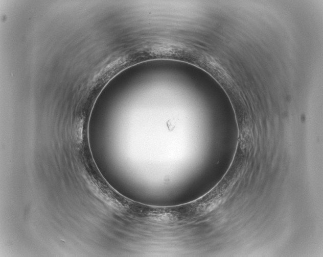 X0000088220454200705151417