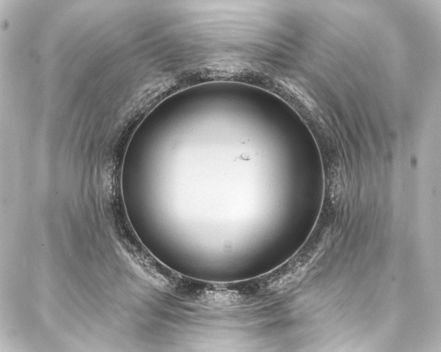 X0000088220455200705151417