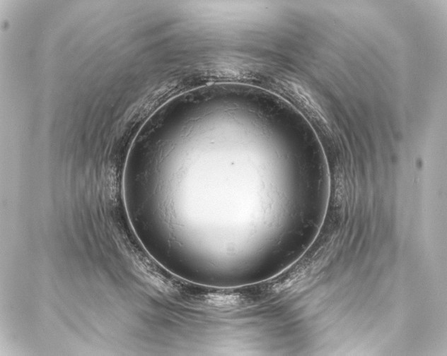 X0000088220457200705151417