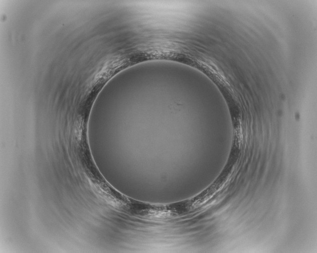 X0000088220458200705151417