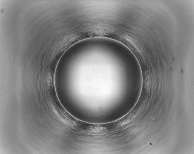 X0000088220459200705151417