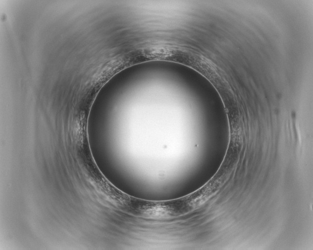 X0000088220460200705151417