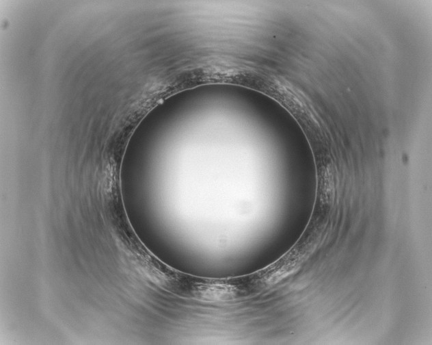 X0000088220463200705151418