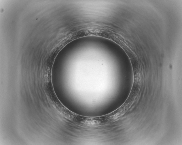 X0000088220464200705151418