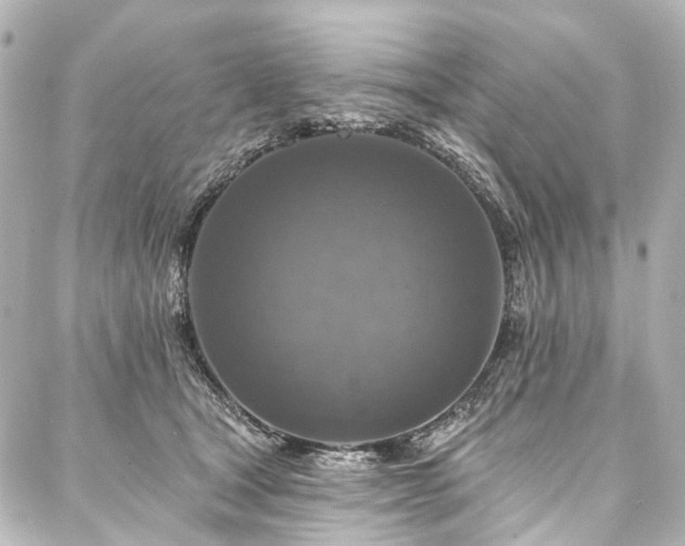 X0000088220465200705151418