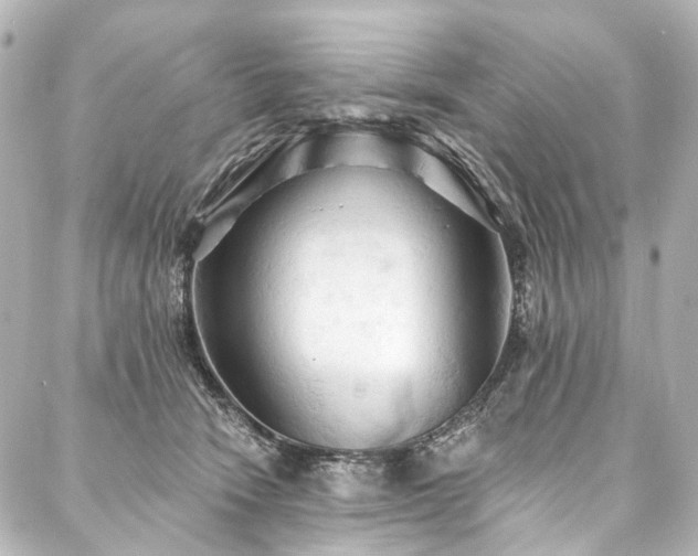 X0000088220466200705151418