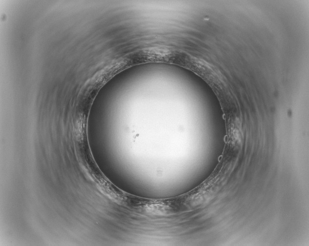 X0000088220468200705151418