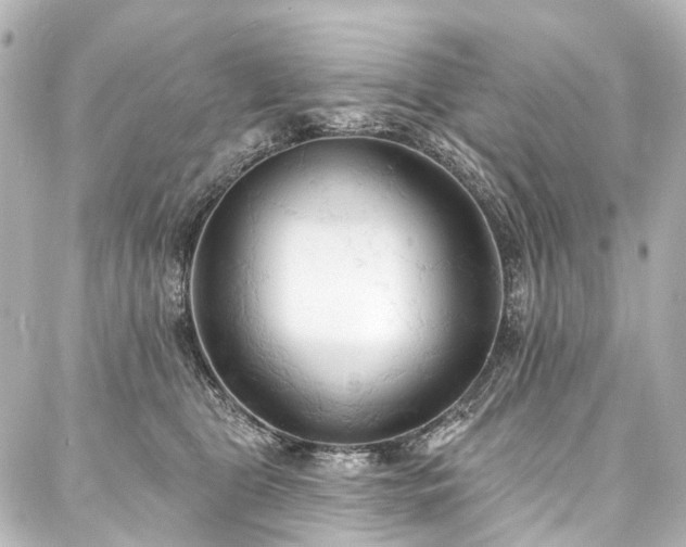 X0000088220469200705151418