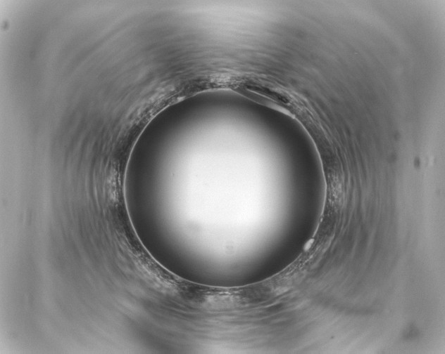 X0000088220470200705151418