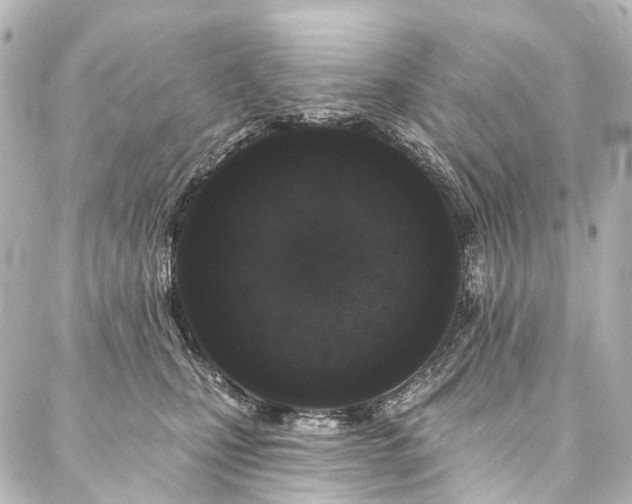 X0000088220471200705151418