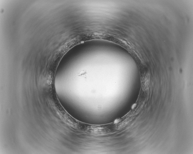 X0000088220472200705151418