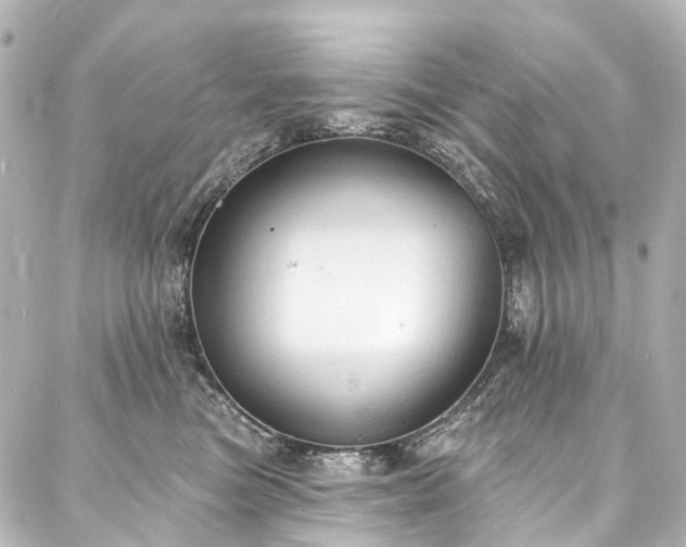 X0000088220473200705151418