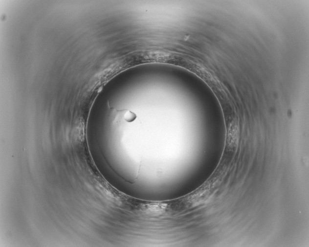 X0000088220474200705151418