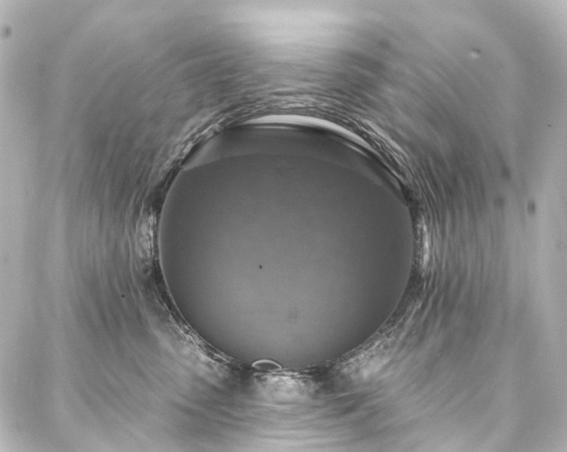 X0000088220475200705151418