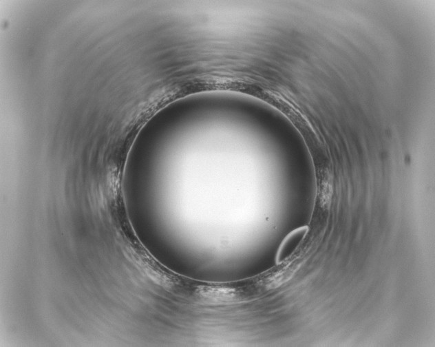 X0000088220476200705151418