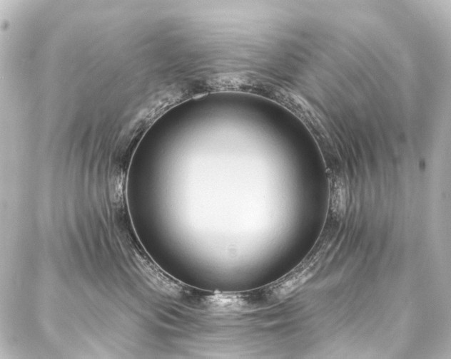 X0000088220477200705151418