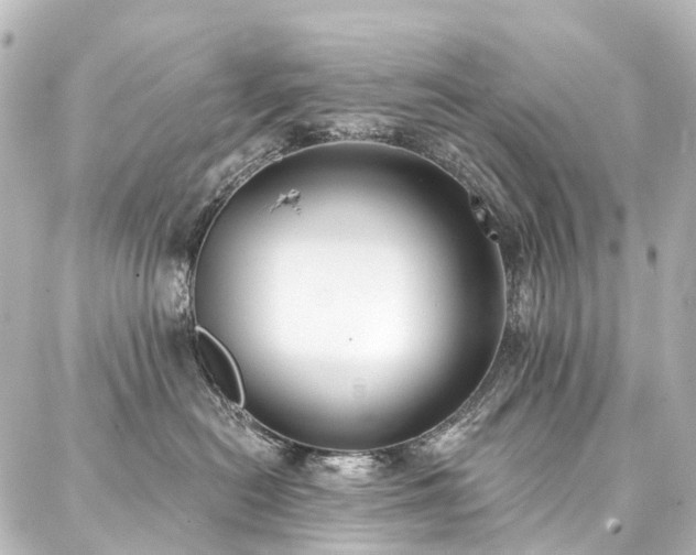 X0000088220478200705151418