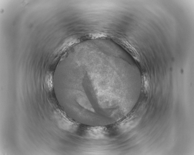 X0000088220479200705151418