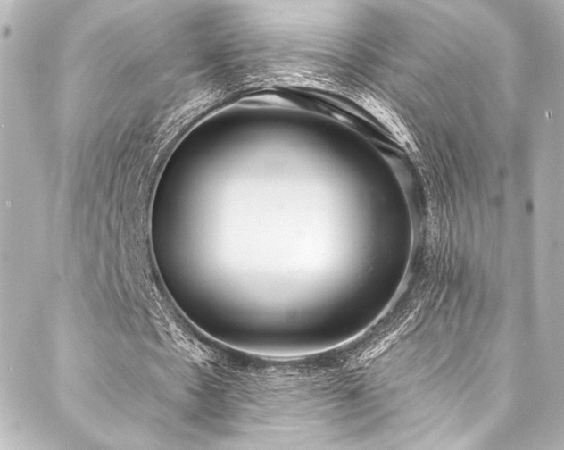 X0000088220481200705151417