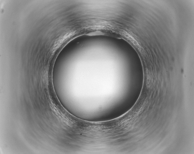 X0000088220482200705151417