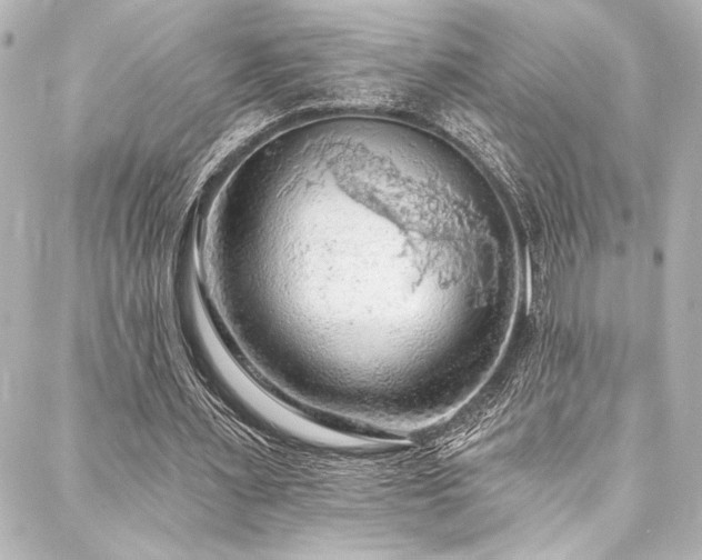 X0000088220483200705151417