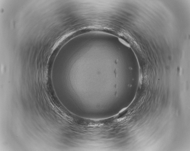 X0000088220484200705151417