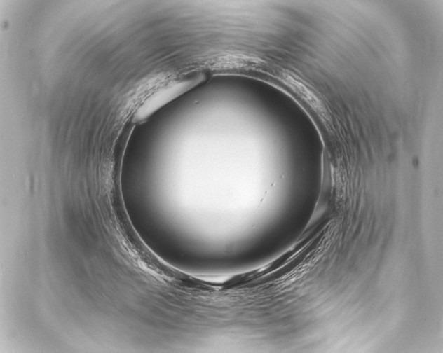 X0000088220485200705151417