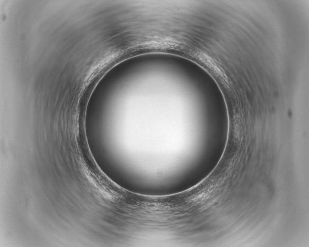 X0000088220486200705151417