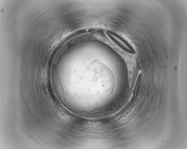 X0000088220487200705151417