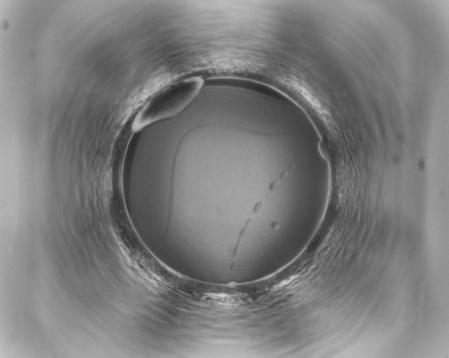 X0000088220488200705151417